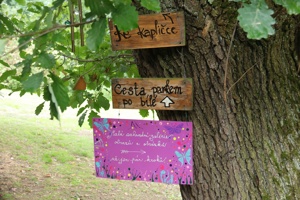 005 IMG_1357